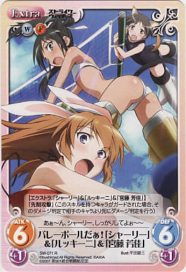 [R] SW-071 バレーボールだぁ！「シャーリー...