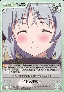 [C] SW-191 イトスギの葉
