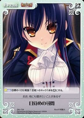 [T] SKo-T09 目覚めの尋問