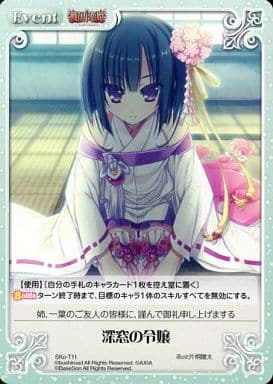 [T] SKo-T11 深窓の令嬢