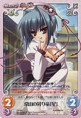 [PR] PR-065 常山の昇り竜「星」