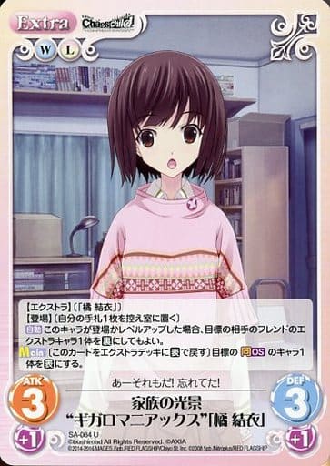 [U] SA-084 家族の光景“ギガロマニアックス”...