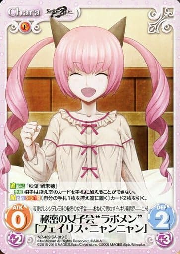 [C] NP-489SA-019 秘密の女子会“ラボメン”「フェイ...