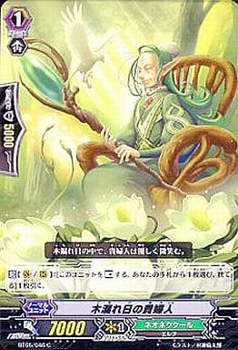 [C] BT05/046 木漏れ日の貴婦人
