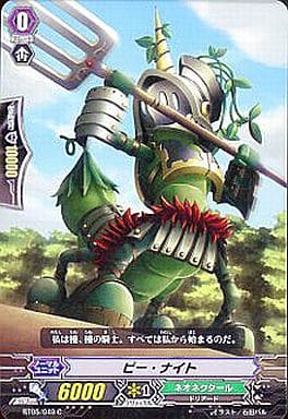 [C] BT05/049 ピー・ナイト