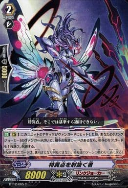 [C] BT12/065 特異点を射抜く者