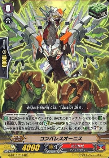 [RR] G-BT13/019 コンバレスオーニス