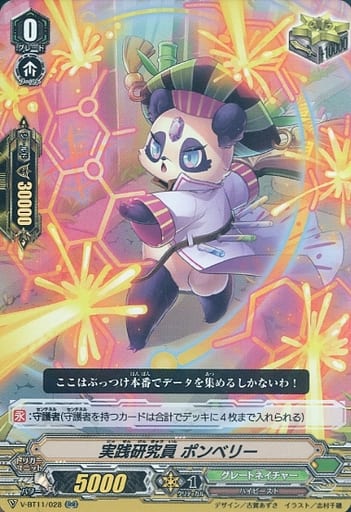 [RR] V-BT11/028 実践研究員ポンベリー