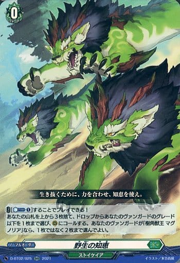 [RR] D-BT02/025 野生の知恵