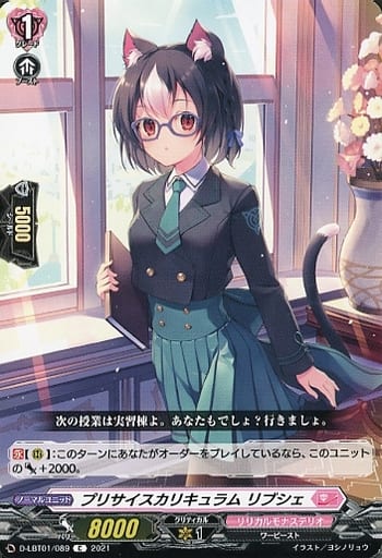 [C] D-LBT01/089 プリサイスカリキュラム リブシェ