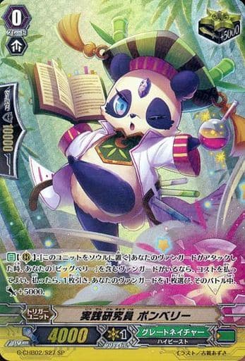[SP] G-CHB02/S27 実践研究員 ポンベリー