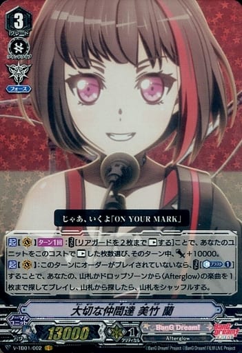 [VR] V-TB01/002 大切な仲間達美竹蘭