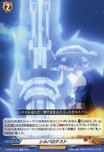 [C] D-TB03/075 シルバのテスト