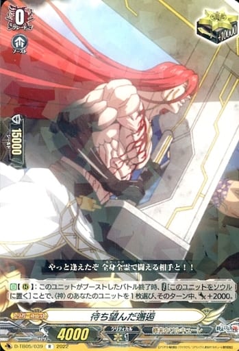 [R] D-TB05/039 待ち望んだ邂逅
