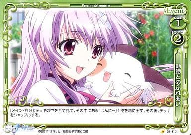 [C] 01-110 動物とのふれあい
