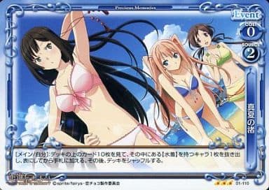 [R] 01-110 真夏の渚