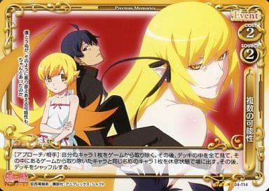 [R] 04-114 複数の可能性