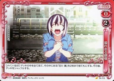 [C] 04-113 溢れ出る感情