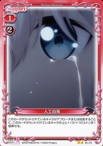 [N] 01-111 人工自我