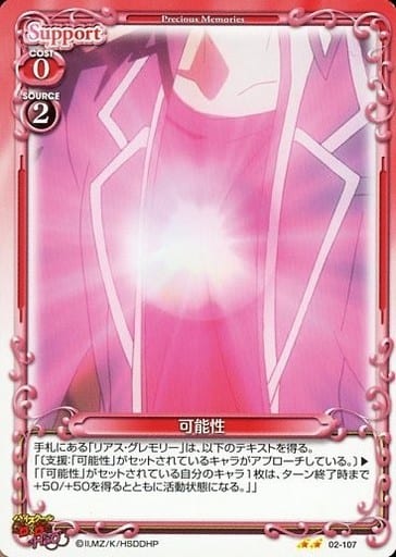 [N] 02-107 可能性