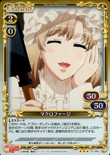 [R] 01-080 マクロファージ