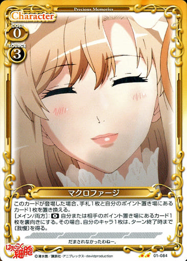 [N] 01-084 マクロファージ