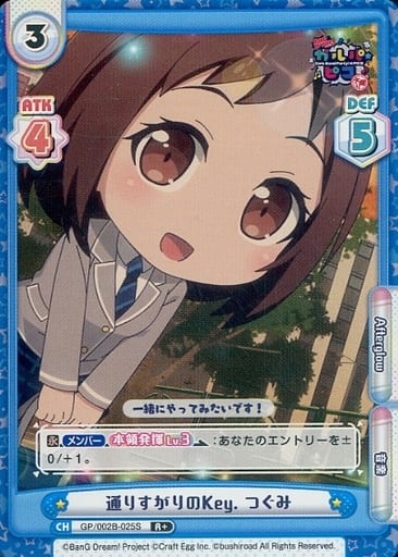 [R+] GP/002B-025S 通りすがりのKey. つぐみ