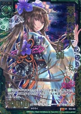 [SRH] B05-095 翠緑の佳人 菖蒲(ホロ)