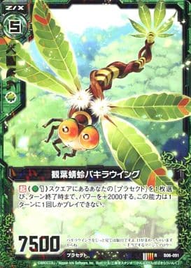 [R] B06-091 観葉蜻蛉パキラウイング