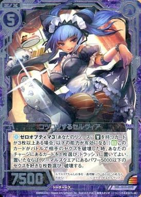 [SR] B13-070 コツコツするセルヴィア