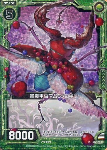 [CH] B14-090 実毒甲虫マムシノコギリ(ホロ)