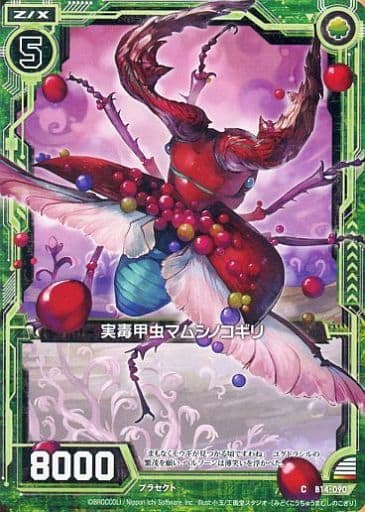[C] B14-090 実毒甲虫マムシノコギリ