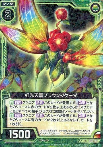 [R] B18-081 虹光天蓋ブラウンシケーダ
