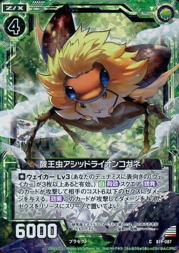 [CH] B19-087 酸王虫アシッドライオンコガネ(ホロ)