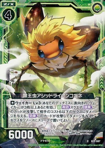 [C] B19-087 酸王虫アシッドライオンコガネ