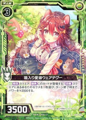 [N] B28-053 箱入り愛娘ウェアデグー