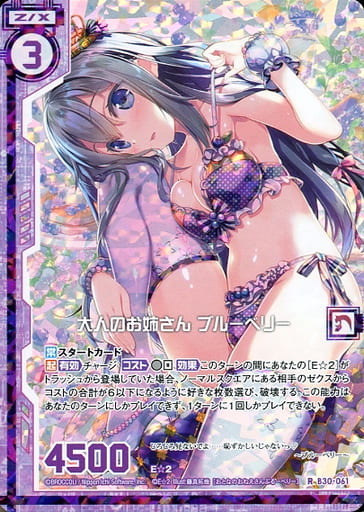 [RH] B30-061 大人のお姉さん ブルーベリー(ホ...