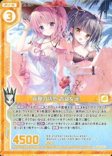 [R] B35-067 真夏の誘惑 香織＆遥(エンジョイ...