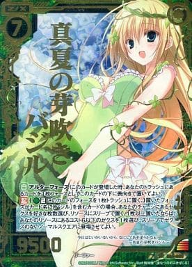 [SRH] E05-030 真夏の芽吹きバジル(ホロ）