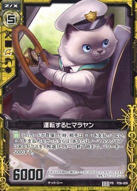 [PR] P06-009 運転するヒマラヤン