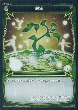 [P-C] WX01-098P 芽生