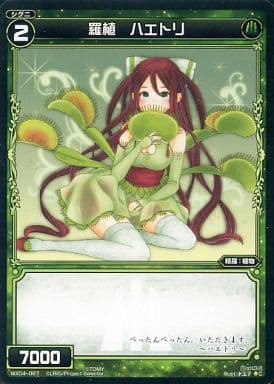 [C] WX04-087 羅植 ハエトリ
