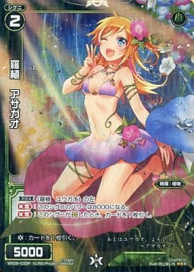 [P-R] WX09-033P 羅植 アサガオ