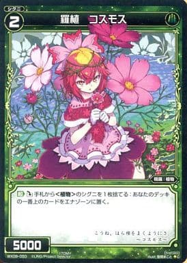 [C] WX09-050 羅植 コスモス