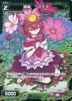 [P-C] WX09-050P 羅植 コスモス