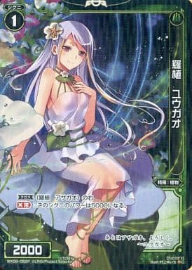 [P-C] WX09-052P 羅植 ユウガオ
