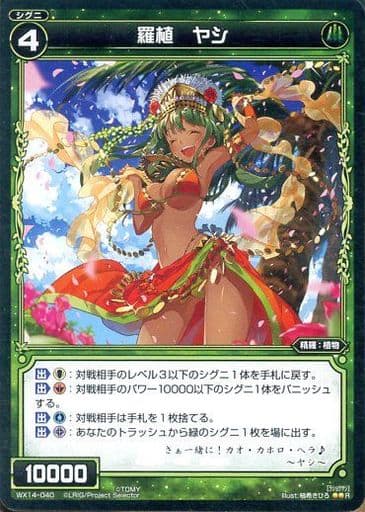 [R] WX14-040 羅植 ヤシ