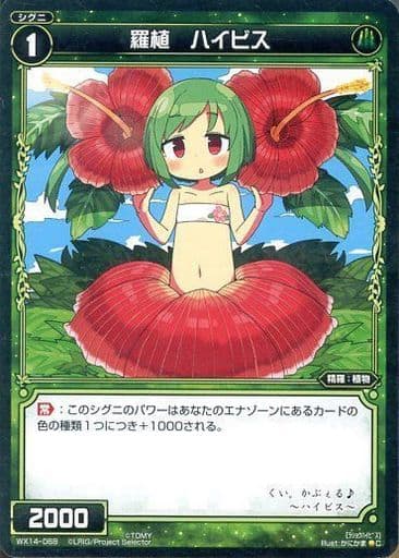 [C] WX14-068 羅植 ハイビス