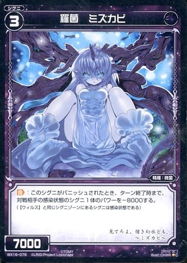 [C] WX16-076 羅菌 ミズカビ