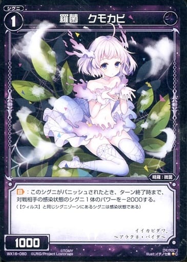 [C] WX16-080 羅菌 クモカビ